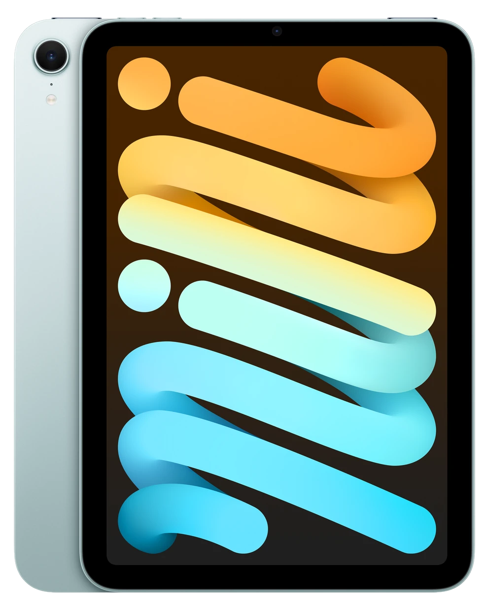 iPad mini in Blue, front and back