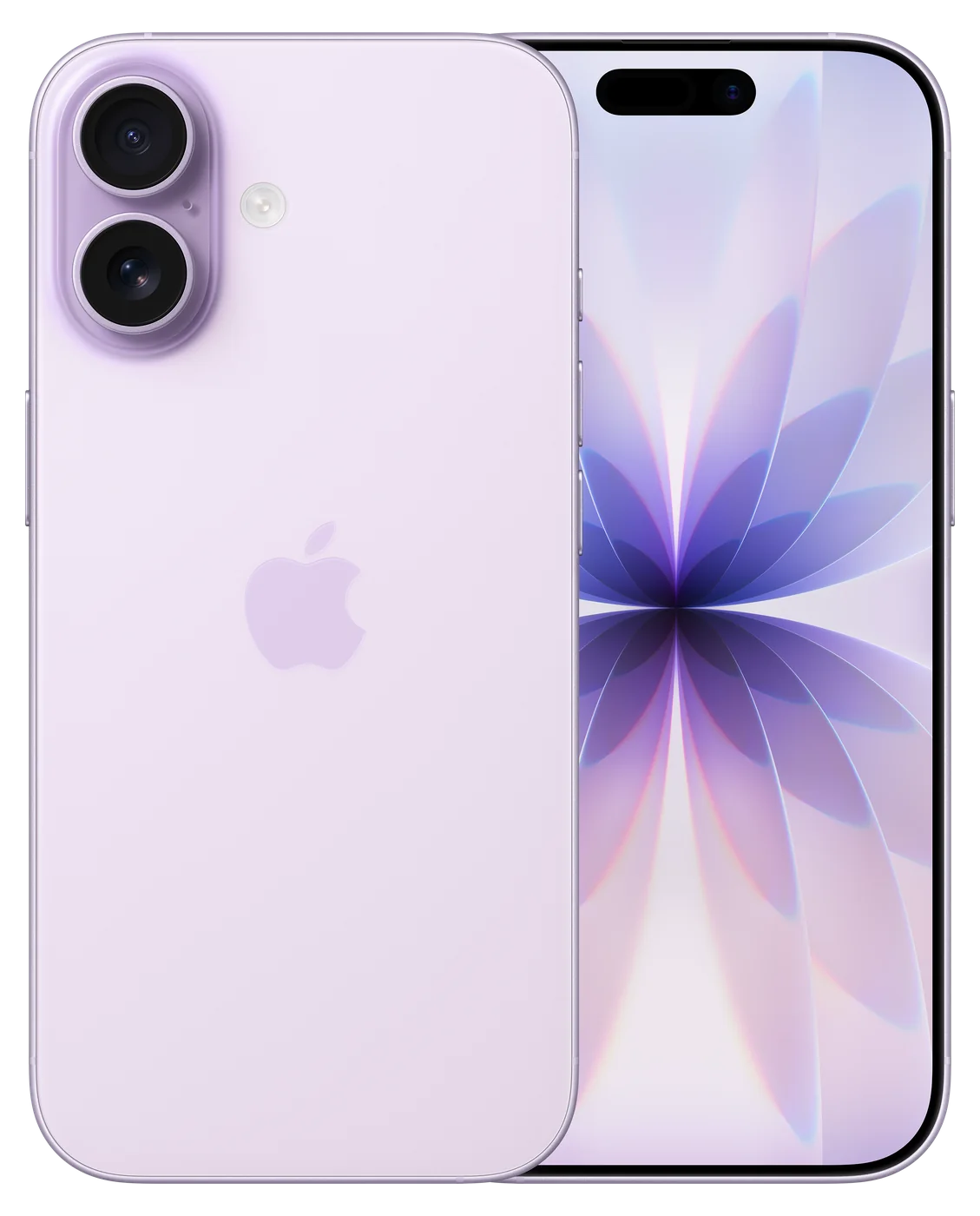 iPhone 17 in Lavender, back and front